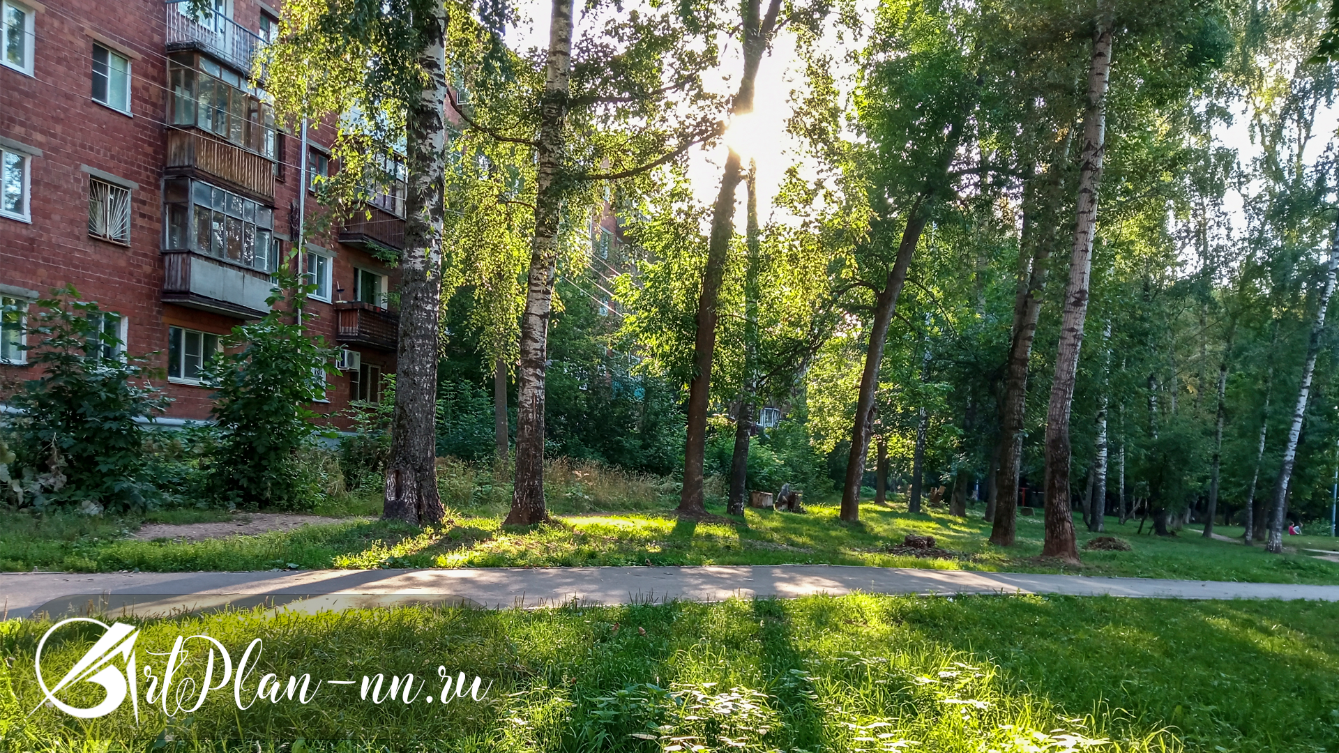 Дворик Фото от 10 августа 2021 Вторник в 6:34
